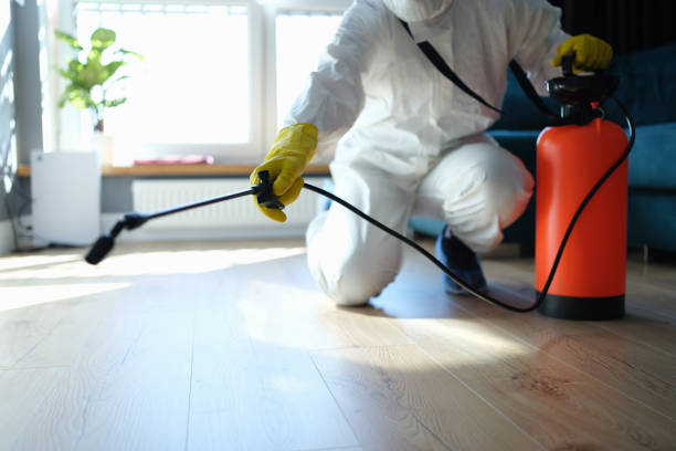 Best Pest Control Treatment  in Amboy, IL