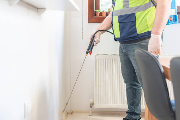 Wasp Removal Services in Amboy, IL