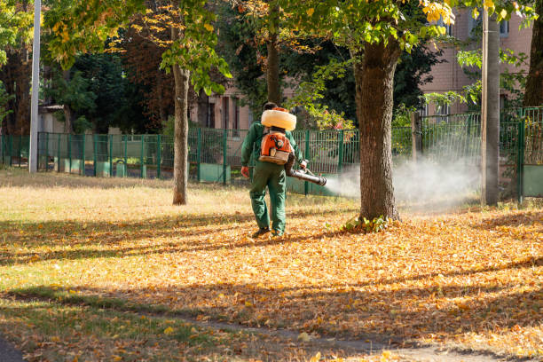 Best Bird Control  in Amboy, IL