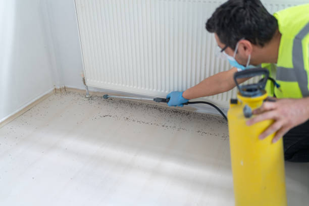 Best Best Pest Control Companies  in Amboy, IL