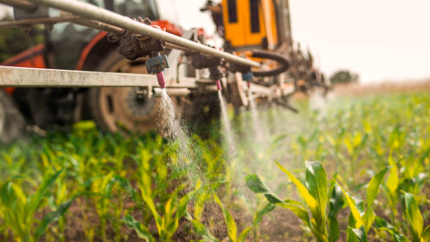 Best Affordable Exterminators  in Amboy, IL
